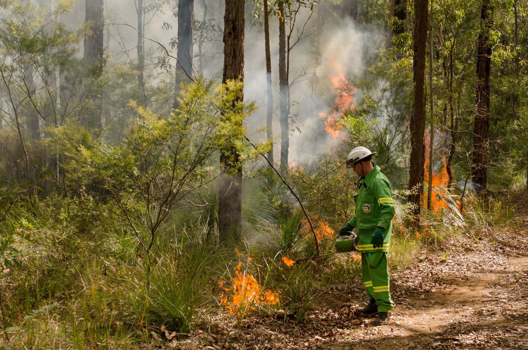 A-QPWS-ranger-applying-fire-for-a-planned-burn-in-Crows-Nest-National-Park-scaled